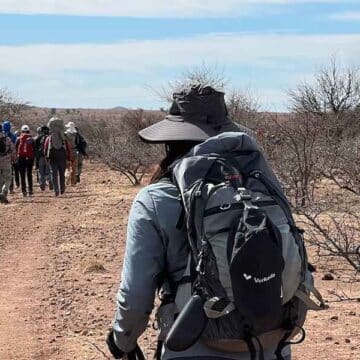 Camino de Maldonado