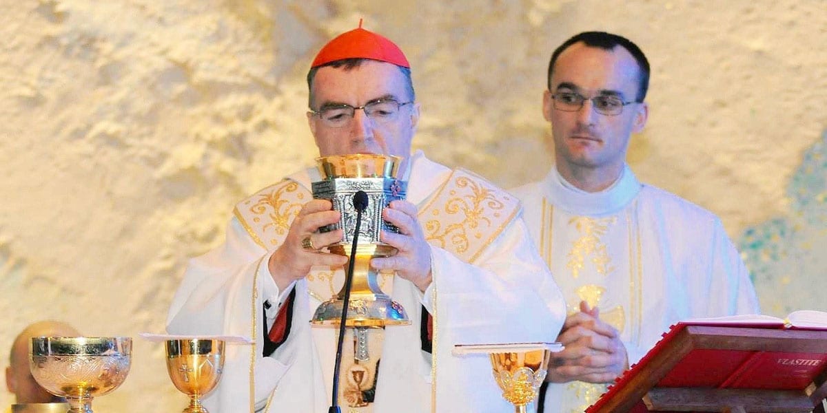 El cardenal croata Josip Bozanic